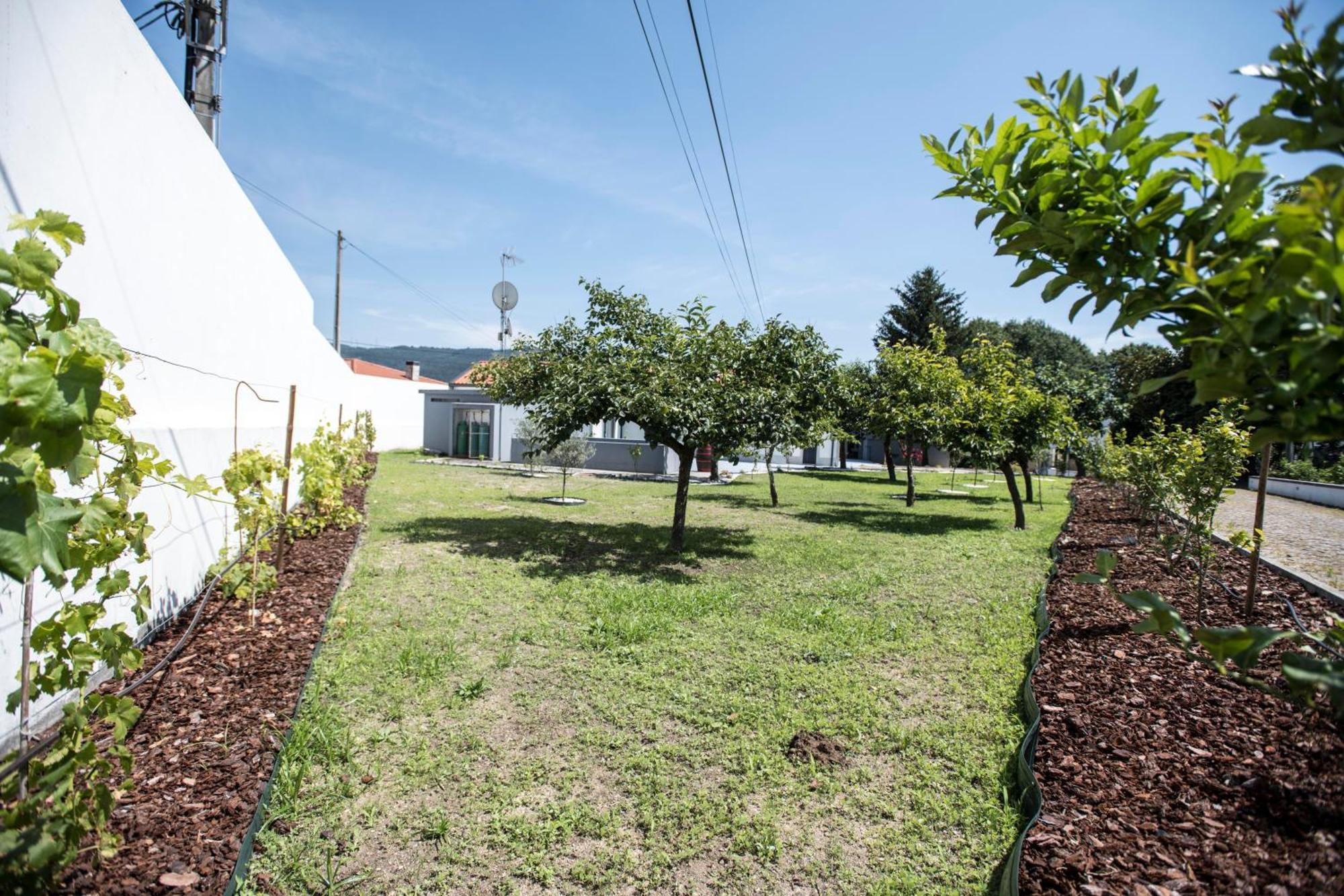 Quinta Do Pomar Pomar Farm Villa Briteiros Exterior photo